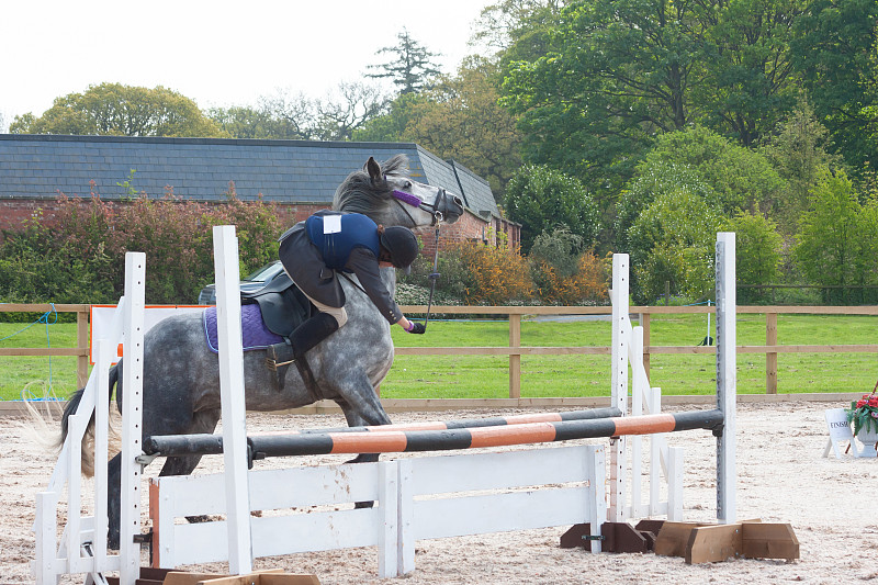 马术障碍赛,优雅骑手的速度较量 马术障碍赛,优雅骑手的速度较量