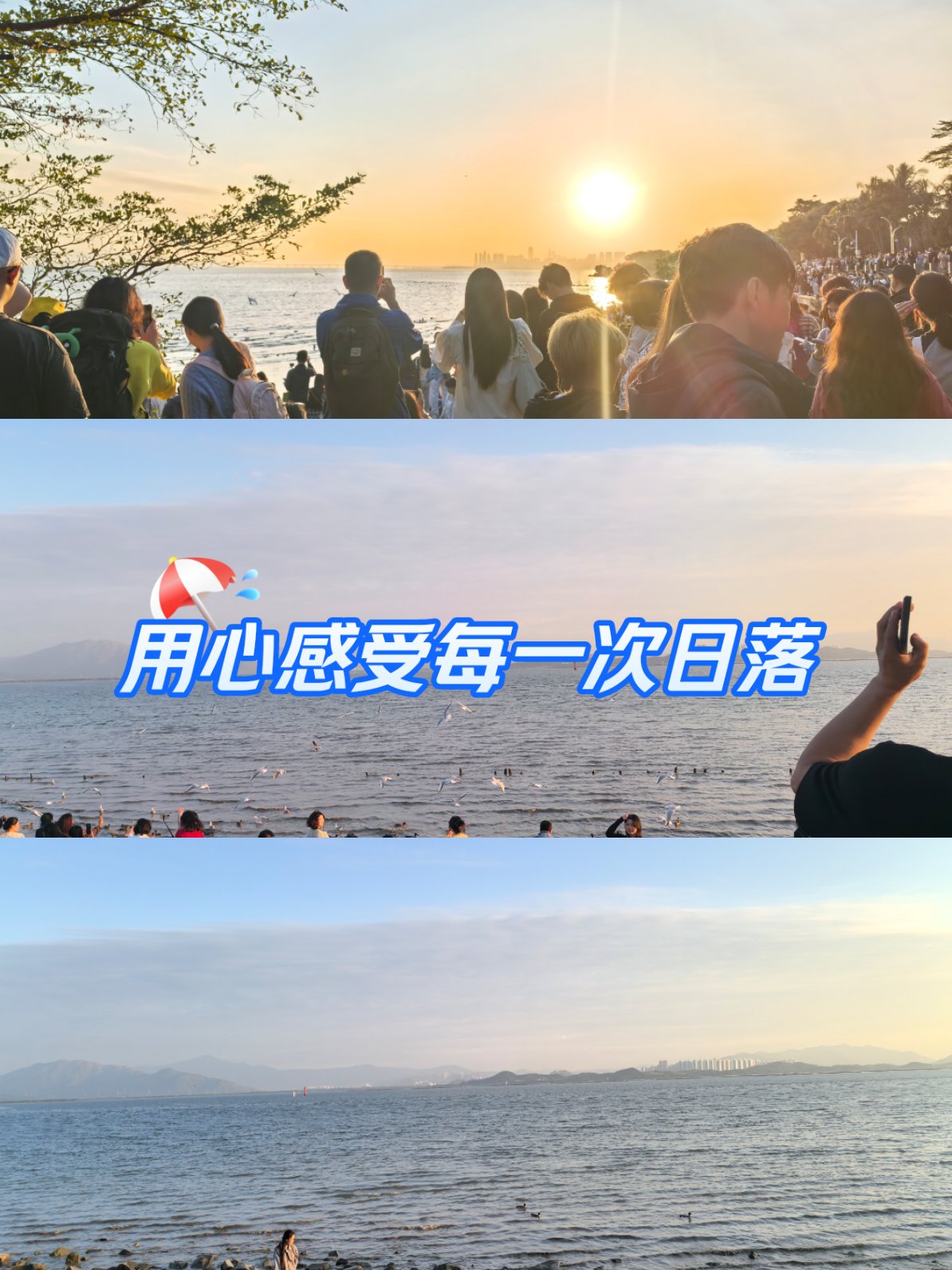 开云中国大陆-包含特色海滩散步节，感受海风中的悠闲运动的词条