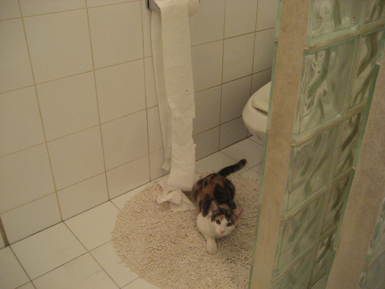 开云官网APP下载-“VAR系统首次应用引发争议——高科技裁判能否实现真正的判罚公平？”