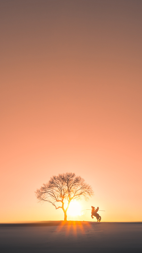 开云中国-半场悬念：54-51，北京领先上海，激烈对抗进入白热化！，北京有望超越上海