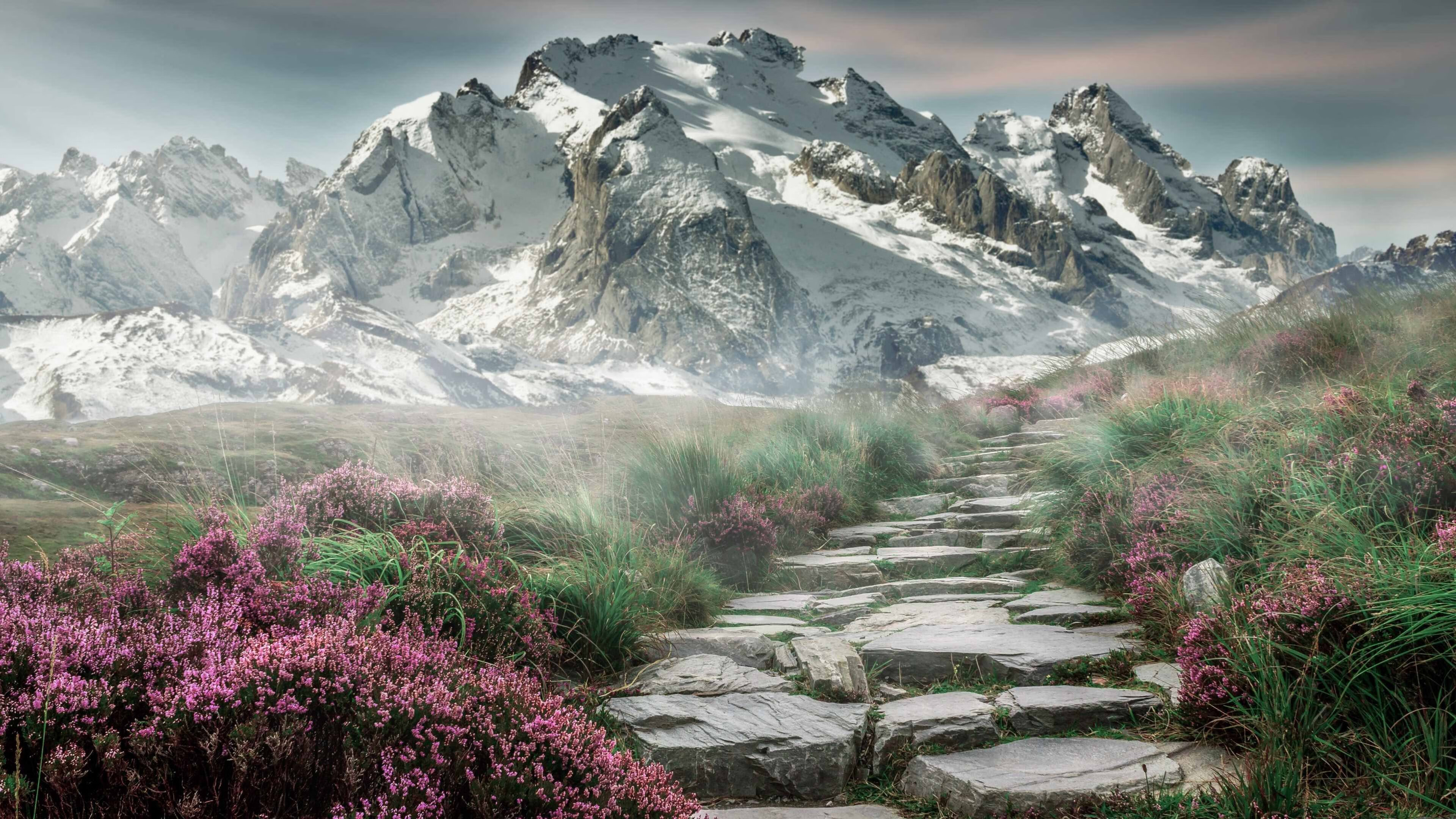 Kaiyun APP-禁区守护者：联盟最具统治力的防守球员排行，禁区守护者加点