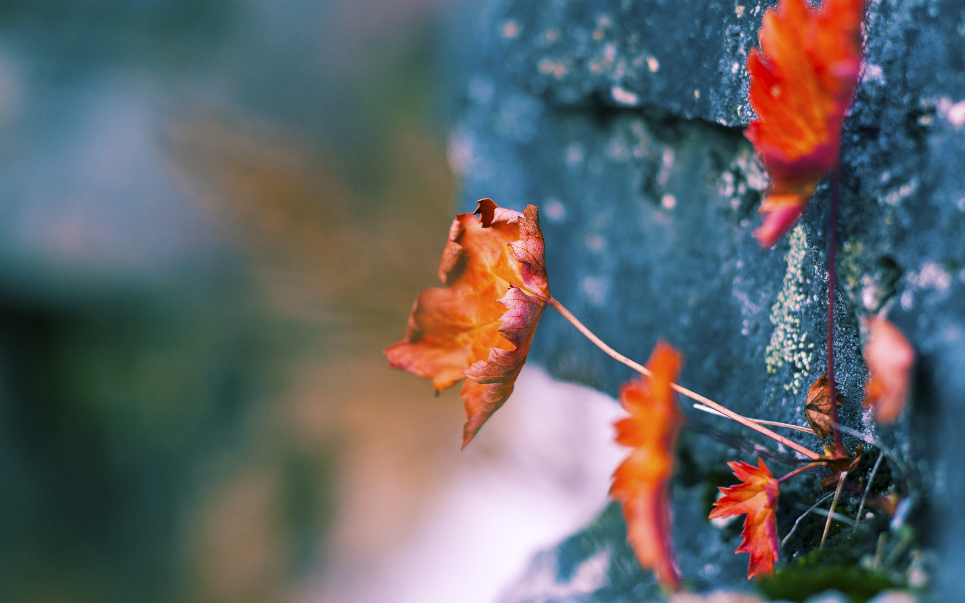 开云入口-足球外交：比赛如何促进国家间友谊？，足球如何互相协作