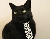 中巡赛引入人工智能技术提升赛事体验,中巡赛排名