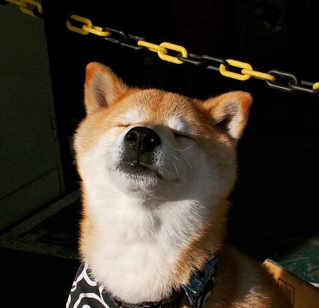 kaiyun体育app-摩纳哥新帅上任，拟定新赛季计划，摩纳哥阵型