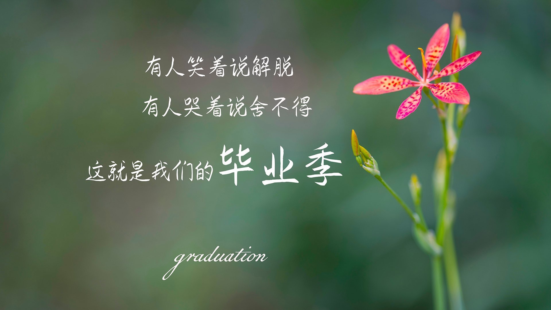 kaiyun登录入口-摩雷舍尔队全队表现出色，掀起翻盘，摩雷官网商城