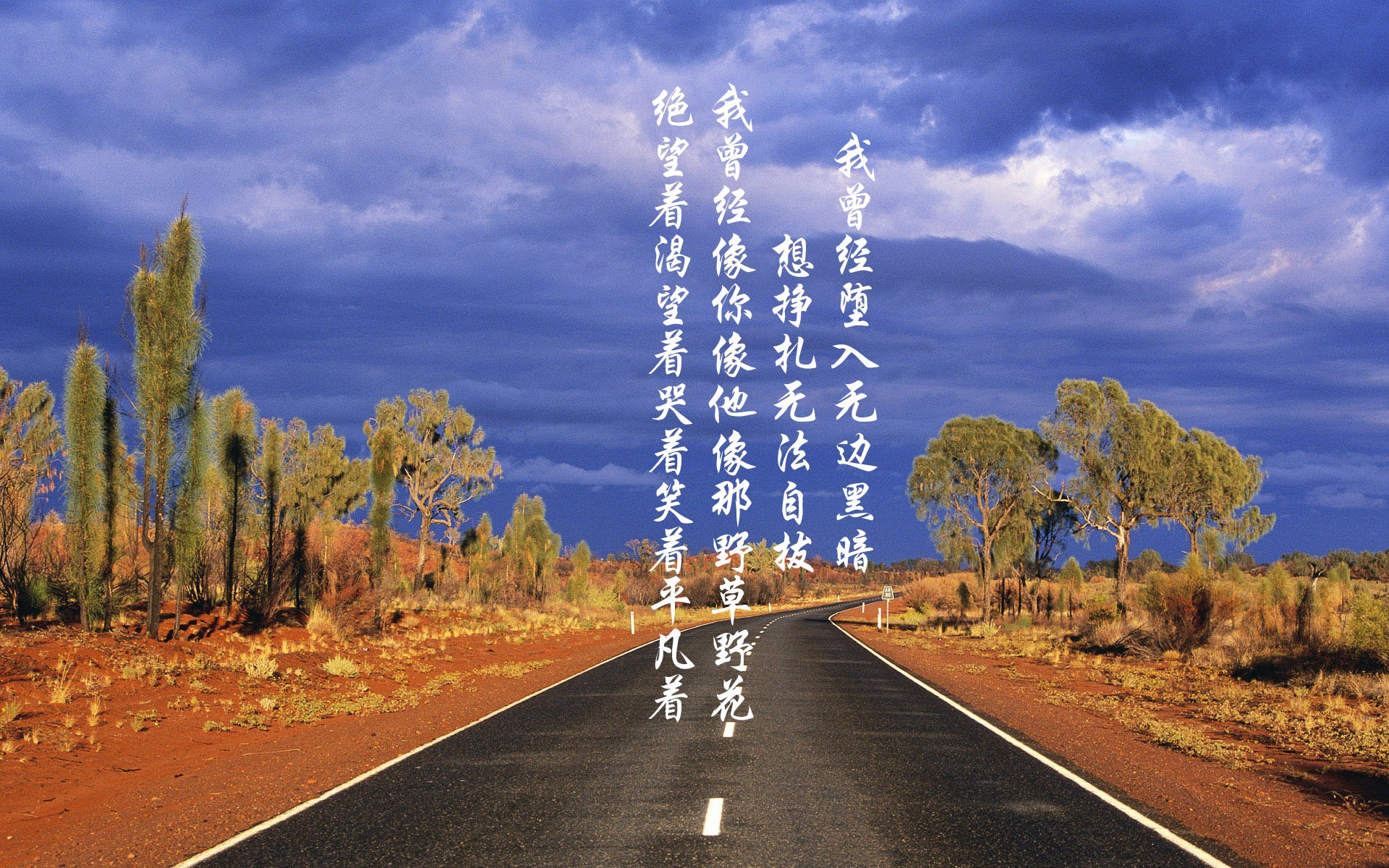 爱尔兰队主场力克科索沃,扭转晋级形势,爱尔兰 科克