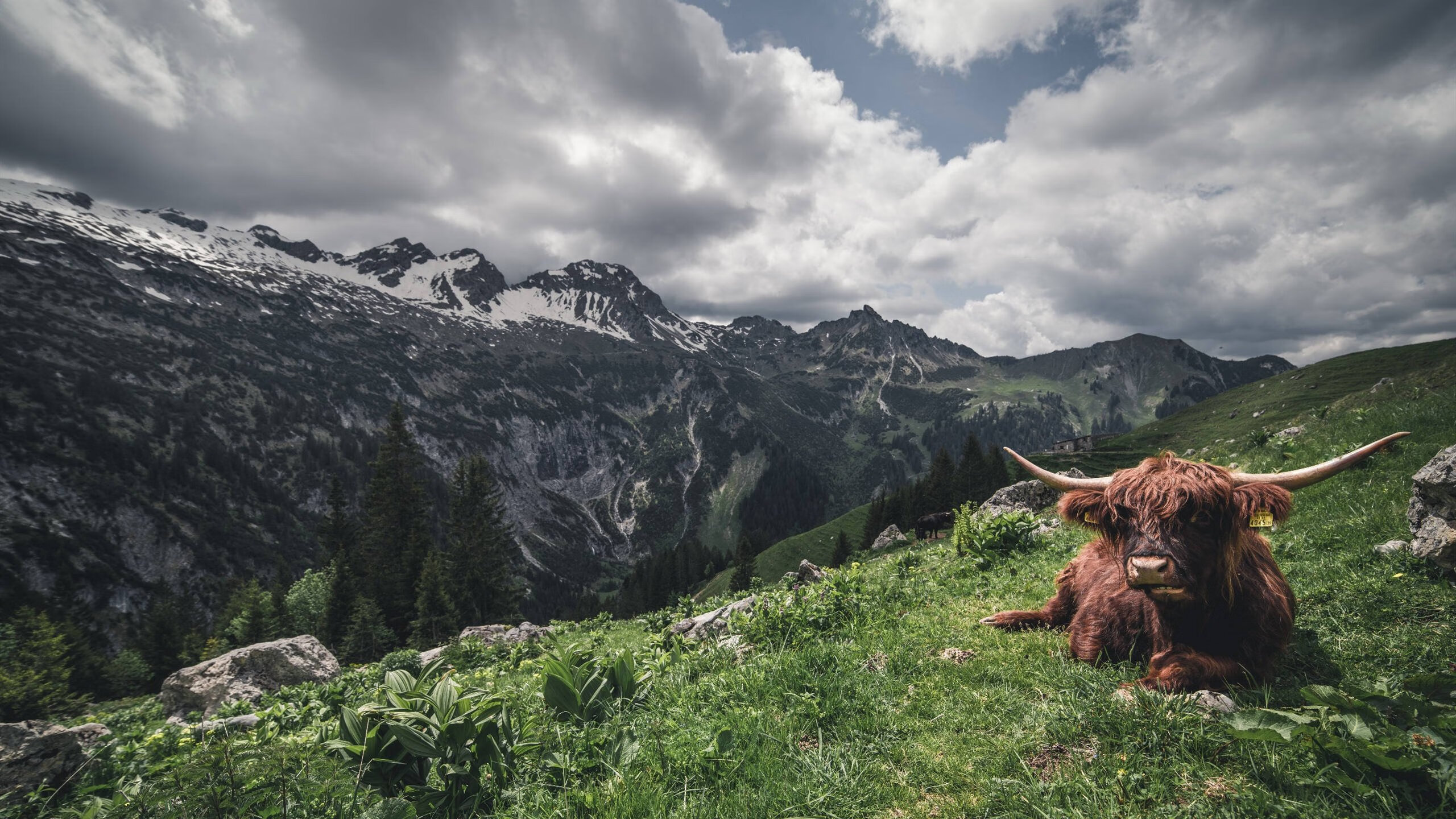 KAIYUN 中国大陆-足球场馆智能化改造，提升管理效率，足球场馆智能化改造,提升管理效率的措施