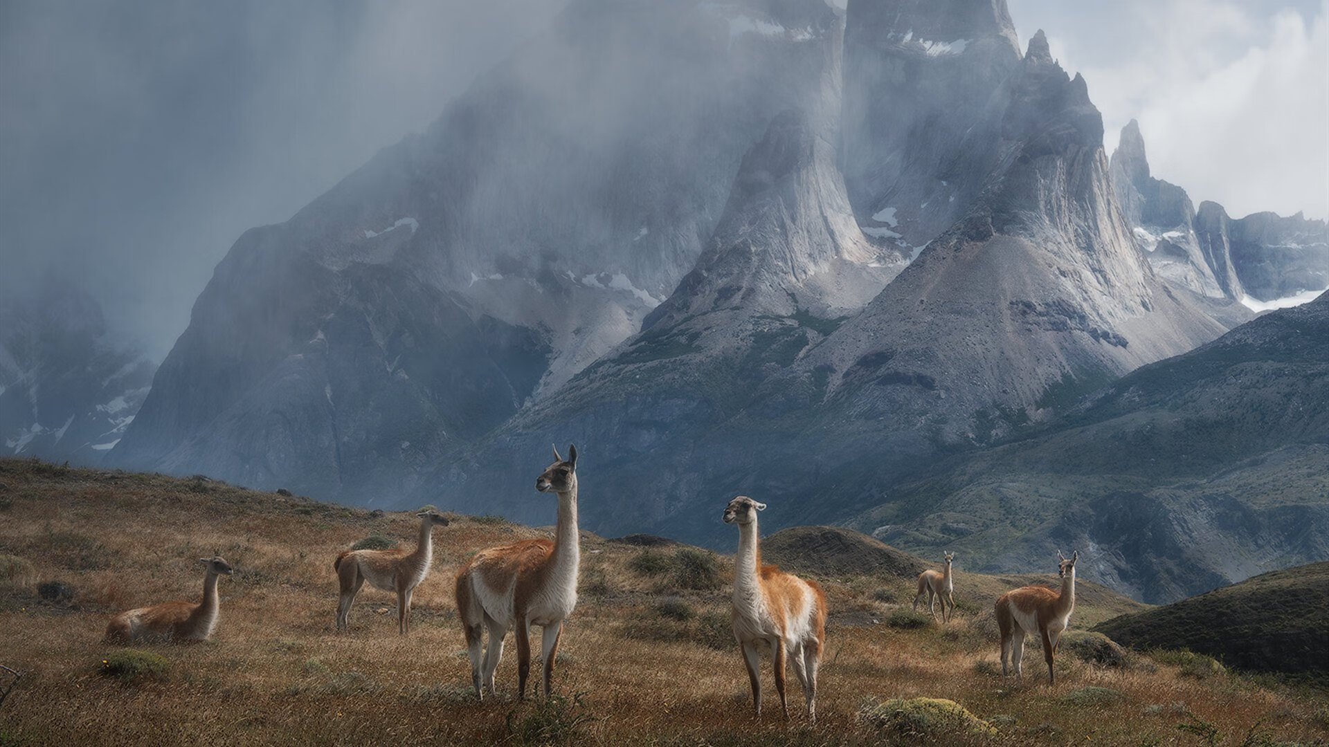 开云中国-马赛队球员士气高涨，冲击联赛榜首，马赛队史著名球星