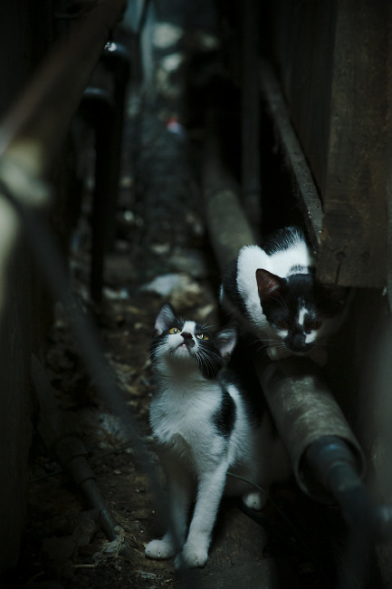 俱乐部故事:如何打造“家文化”凝聚队员