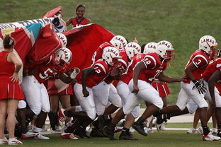 KAIYUNAPP-全国城际定向越野赛青少年组吸引众多参赛者，全国定向越野锦标赛