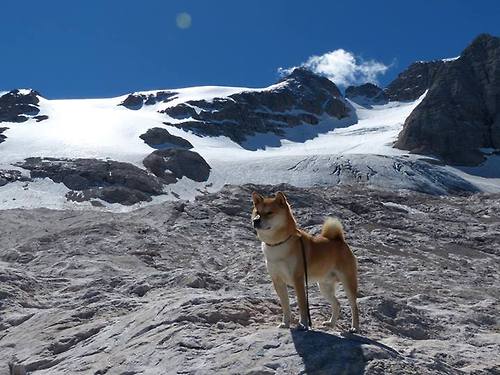 Kaiyun(中国)开云-意甲球队运用心率变异性预测过度训练风险，心率变异性在训练中的应用