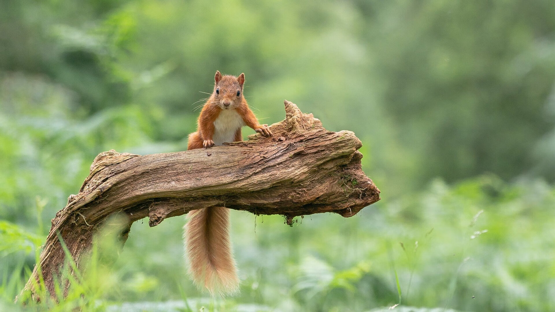 kaiyun体育综合-“2025世界运动会：高新区全民健身馆壁球赛事，速度与技巧的极限挑战”