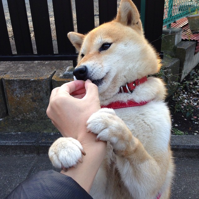 职业联赛品牌缺少国际辨识度