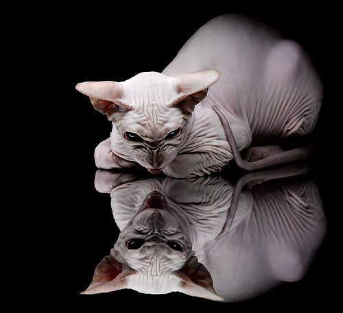 开云中国大陆-中国女足设立技术委员会助力技战术体系建设，中国女足战术特点