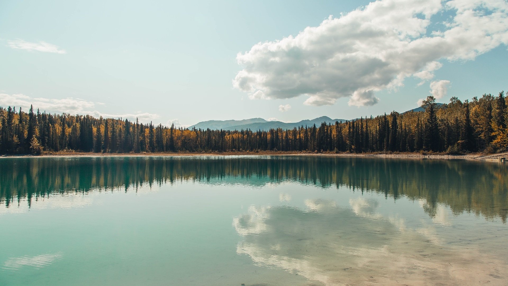 伊利亚·哈伦全程保持强劲节奏,伊利哈德
