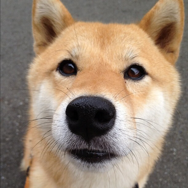 夏训强度提升主教练强调持久耐力对下半赛季至关重要,夏训主要练什么