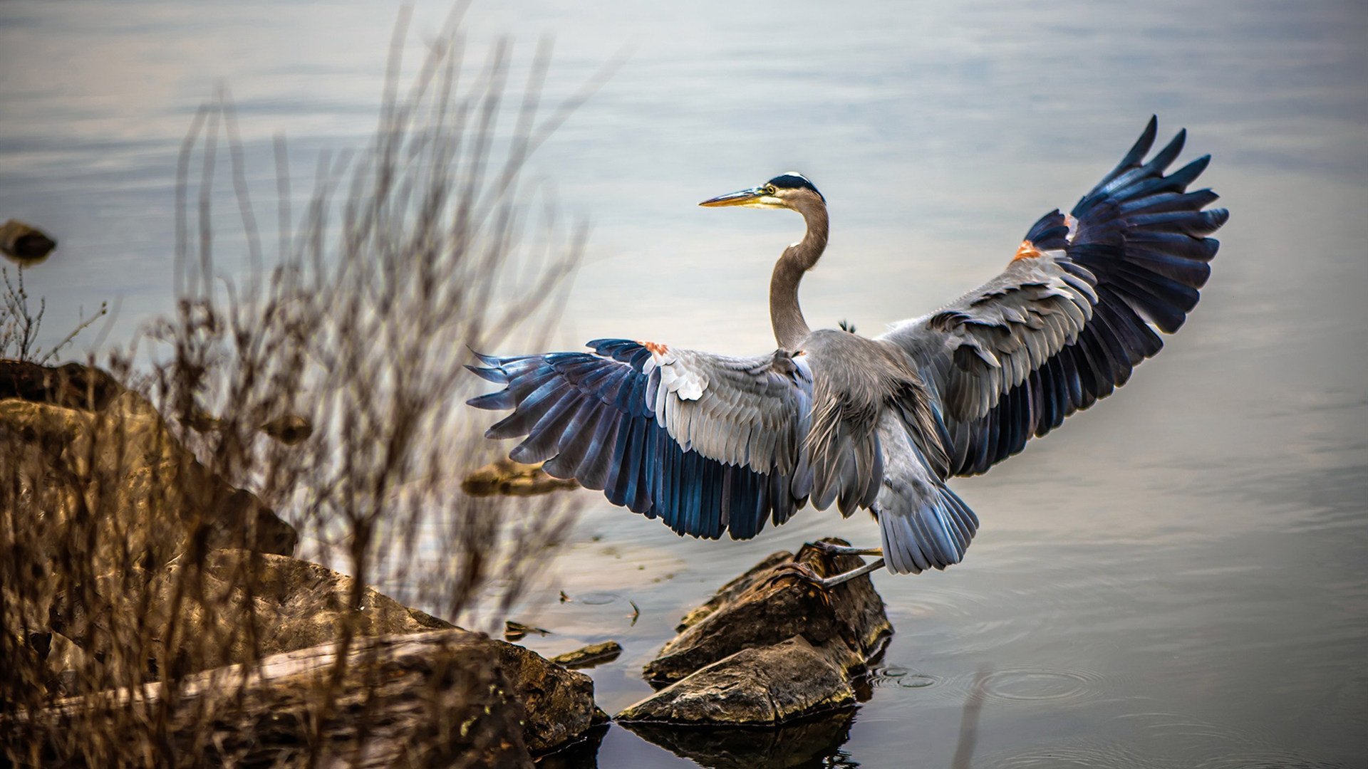 德甲战术大变:变化迅速,精彩纷呈,德甲赛制介绍