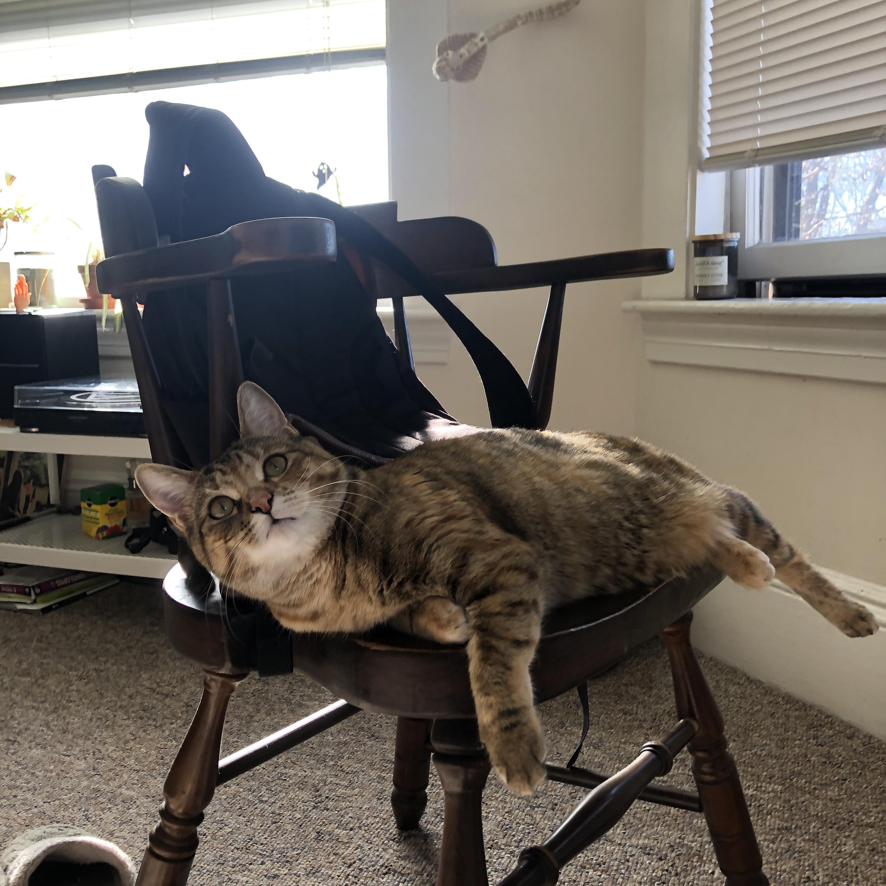 线上足球运动志愿者平台开放,激发全民参与热情,足球志愿活动