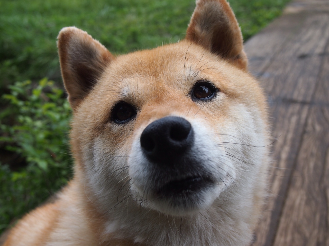 kaiyun体育综合-西甲明星纷纷爆发：突破、头球、精彩扑救轮番上演，2021西甲球员